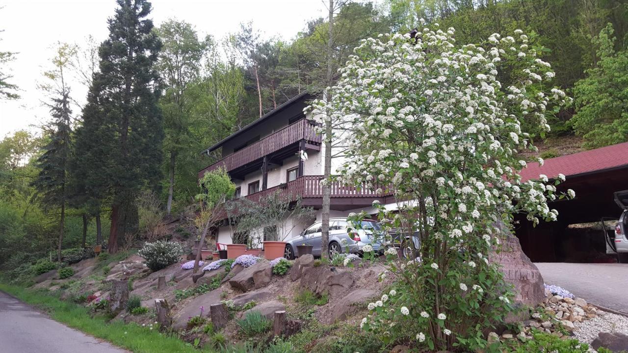 Gastehaus Gerhardt Apartment Schweigen-Rechtenbach Exterior photo